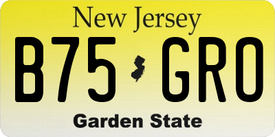 NJ license plate B75GRO