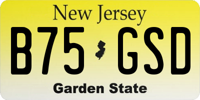 NJ license plate B75GSD