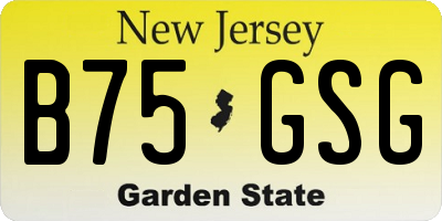 NJ license plate B75GSG