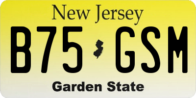 NJ license plate B75GSM