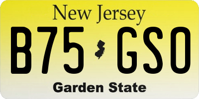 NJ license plate B75GSO
