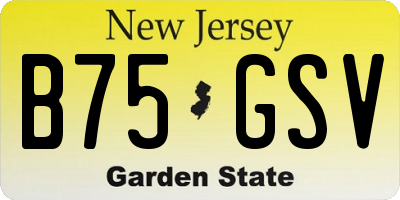 NJ license plate B75GSV