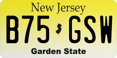 NJ license plate B75GSW