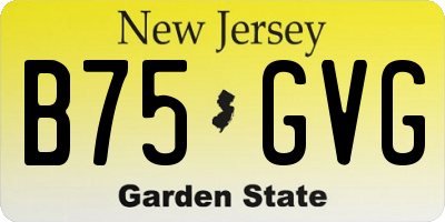 NJ license plate B75GVG