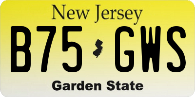 NJ license plate B75GWS
