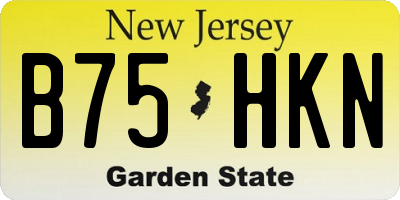 NJ license plate B75HKN
