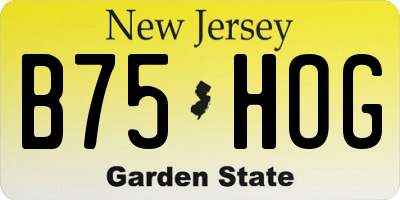NJ license plate B75HOG