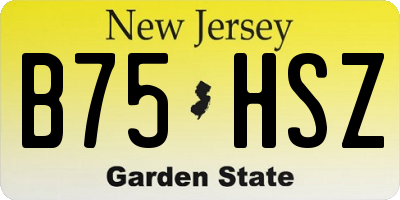 NJ license plate B75HSZ
