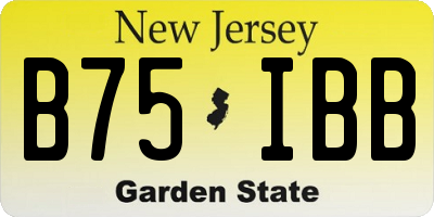 NJ license plate B75IBB