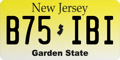 NJ license plate B75IBI