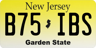 NJ license plate B75IBS
