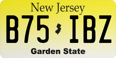 NJ license plate B75IBZ