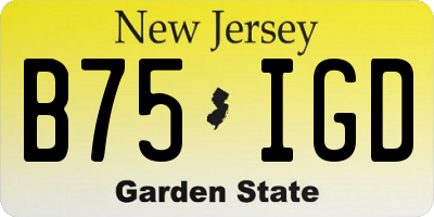 NJ license plate B75IGD