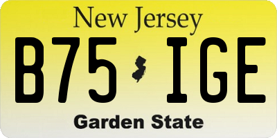 NJ license plate B75IGE