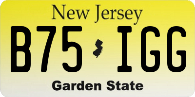 NJ license plate B75IGG