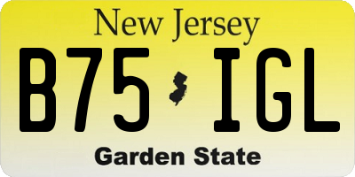 NJ license plate B75IGL