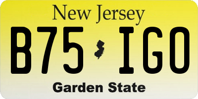 NJ license plate B75IGO
