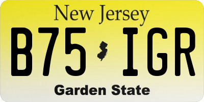 NJ license plate B75IGR