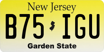 NJ license plate B75IGU