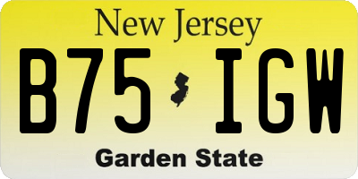 NJ license plate B75IGW