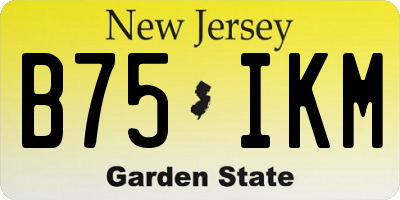 NJ license plate B75IKM