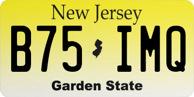 NJ license plate B75IMQ