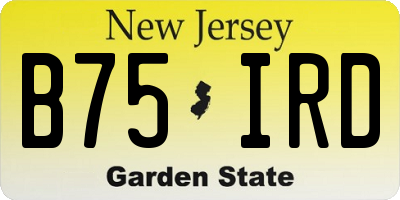 NJ license plate B75IRD