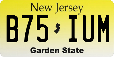 NJ license plate B75IUM