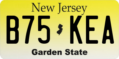 NJ license plate B75KEA