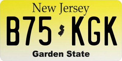 NJ license plate B75KGK