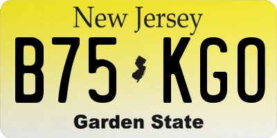 NJ license plate B75KGO