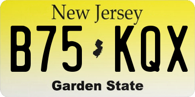 NJ license plate B75KQX