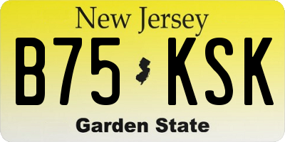 NJ license plate B75KSK