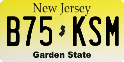 NJ license plate B75KSM