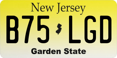 NJ license plate B75LGD