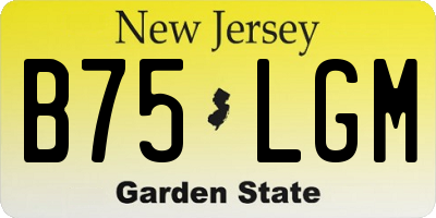 NJ license plate B75LGM