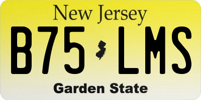 NJ license plate B75LMS