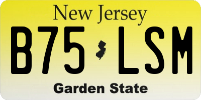 NJ license plate B75LSM