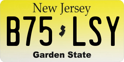 NJ license plate B75LSY