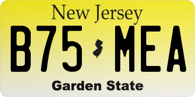 NJ license plate B75MEA