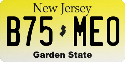 NJ license plate B75MEO