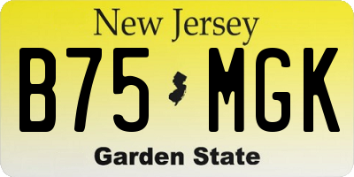 NJ license plate B75MGK
