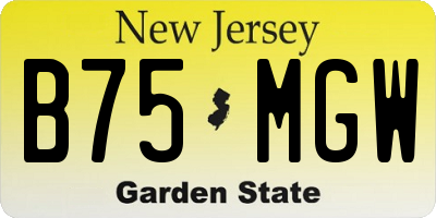 NJ license plate B75MGW