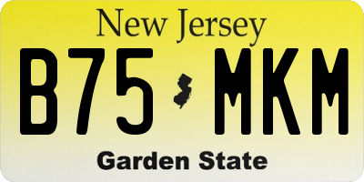 NJ license plate B75MKM