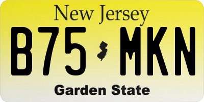 NJ license plate B75MKN