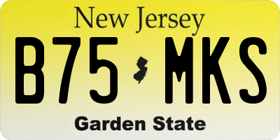 NJ license plate B75MKS