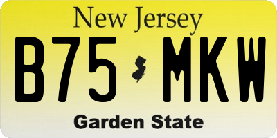 NJ license plate B75MKW