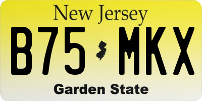 NJ license plate B75MKX