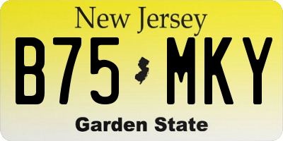 NJ license plate B75MKY