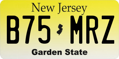 NJ license plate B75MRZ